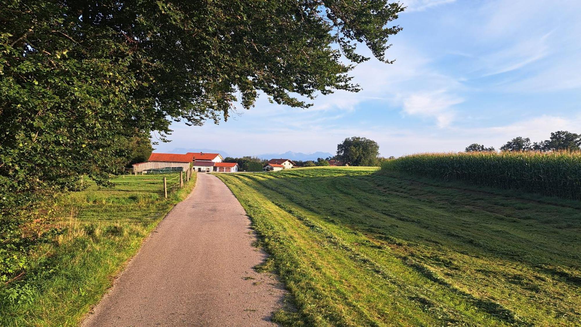 Z'dandlberg *